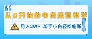 (11081期)从0开始的电商运营教学,月入2W+,新手小白轻松躺赚-苏武资源网
