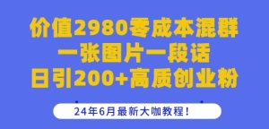 价值2980零成本混群一张图片一段话日引200+高质创业粉，24年6月最新大咖教程-苏武资源网