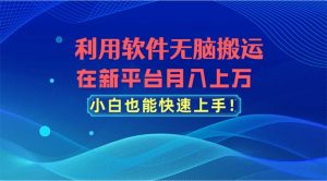 （11078期）利用软件无脑搬运，在新平台月入上万，小白也能快速上手-苏武资源网