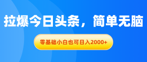 (11077期)拉爆今日头条,简单无脑,零基础小白也可日入2000+-苏武资源网