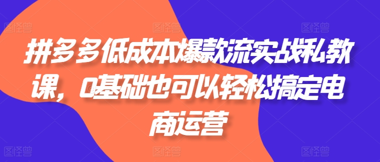 拼多多低成本爆款流实战私教课，0基础也可以轻松搞定电商运营-苏武资源网