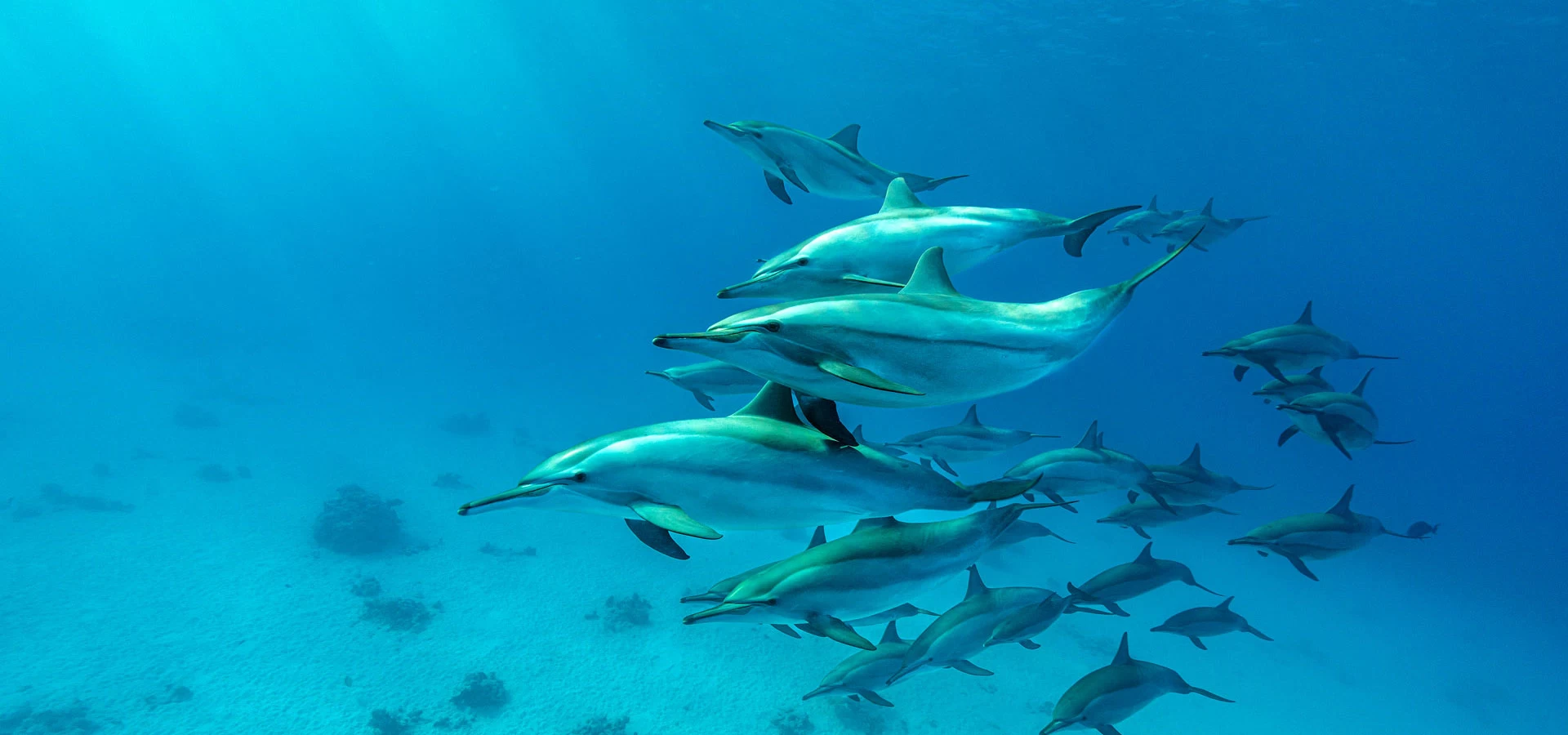 幻灯片-苏武资源网