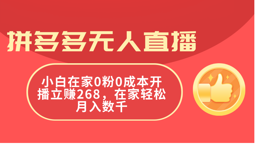 （11521期）拼多多无人直播，小白在家0粉0成本开播立赚268，在家轻松月入数千-苏武资源网